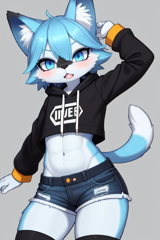 **Nombre del Personaje**: Max
**Especies**: anthropomorphic / Furry gato
**Pelaje**: Azul brillante azul fuerte  con acentos oscuros y amarillos
**expression**: Playful and energetic
**Vestimenta**: Sudadera amarilla  y negra y shorts negros
**Postura**: Completa, mostrando todo el cuerpo hombre,sexy,pechos,grandes.
