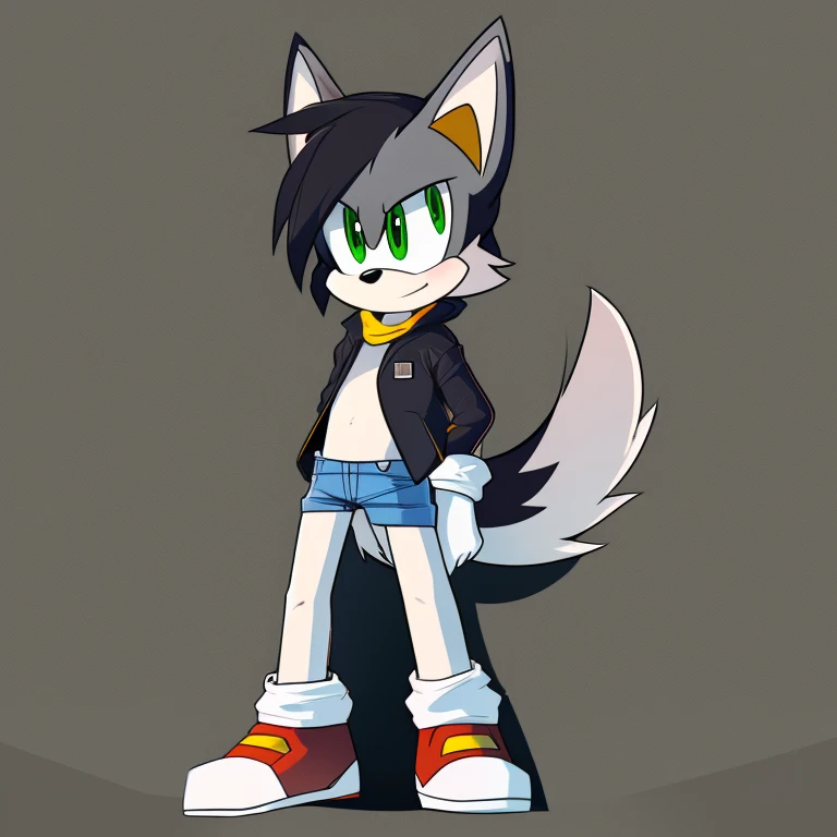 score_9, score_8up, score_7up, highres, 4k, detailed, 2d, cel shading, sonic (series), solo, 1boy, (anthro husky), black and white fur, mullet, green eyes, thin, twink, cute, tall, tail, rugged, short beard,