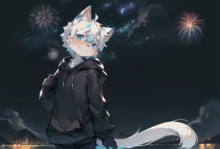 starry_sky, moon, crescent_moon, night_sky, night, shooting_star, sky, galaxy, starry_sky_print, male_focus, full_moon, aurora, milky_way, furry, 1boy, constellation, moonlight, solo, furry_male, starry_background, embers, fireworks,blush, detailed_background,amazing_background,white and gray fur, cat boy, black hoodie, massive long cat tail, blue eyes, white hair,detailed face,detailed eyes,head tilt, turning head, shy, ocean view, birds flying in background, back facing user, sexy body, big butt, round butt, cute, thick balls, puckered anus