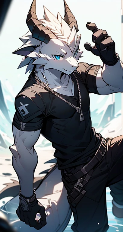Masterpiece, Cool Pose, Furry Gray Dragon, Medium Strong Body, Blue Eyes, Grey Medium Hair, Combat Black Shirt, Combat Gloves, Combat Pants, Fierce, Good looking 