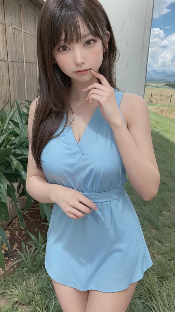 (8k, RAW Photo, Best Quality, Masterpiece: 1.3), breakone girl, (a beauty girl, delicate girl:1.3), (21 years old:1.5), break, (Blue going out dress:1.3), break, Extremely fine grain definition, (Symmetrical eyes:1.3), break, Small breasts, Brown eyes, Parted bangs, brown hair, girl, break, (Eye and facial details:1.3),A cheerful smile, (In the grasslands of Hokkaido:1.3),