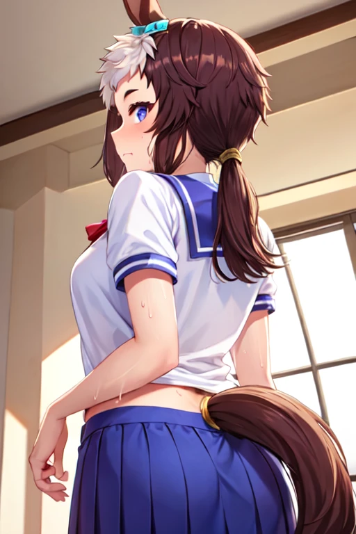 NSFW,(lora: Dikko Art Style:1), (masterpiece), (best quality), (ultra-detailed), (best illustration), (best shadow), (absurdres), grass wonder \(umamusume\),brown hair,long hair,blue eyes,kemomimi,(((horse tail on waist ))),smile, ((naked)), turning back for viewer, profile,show off pussy,show off nipple,pink nipple,hyper big breast,(big ass),pregnant,cute pussy,pov from ass,beautiful back