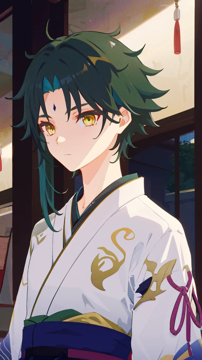 1 boy,dark green hair,highest quality,masterpiece,excessive,male focus,yellow eyes,beautiful eyes,beautiful boy,紋付きHakama,日本のkimono,kimono,Hakama,