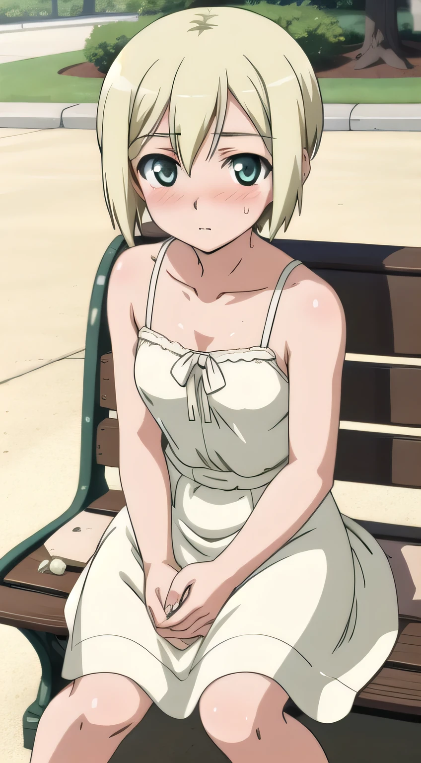 masterpiece, highest quality,
erica hartmann, One girl, Apply blush all over the face,
(White Dress:1.2), Sundress, Park bench,