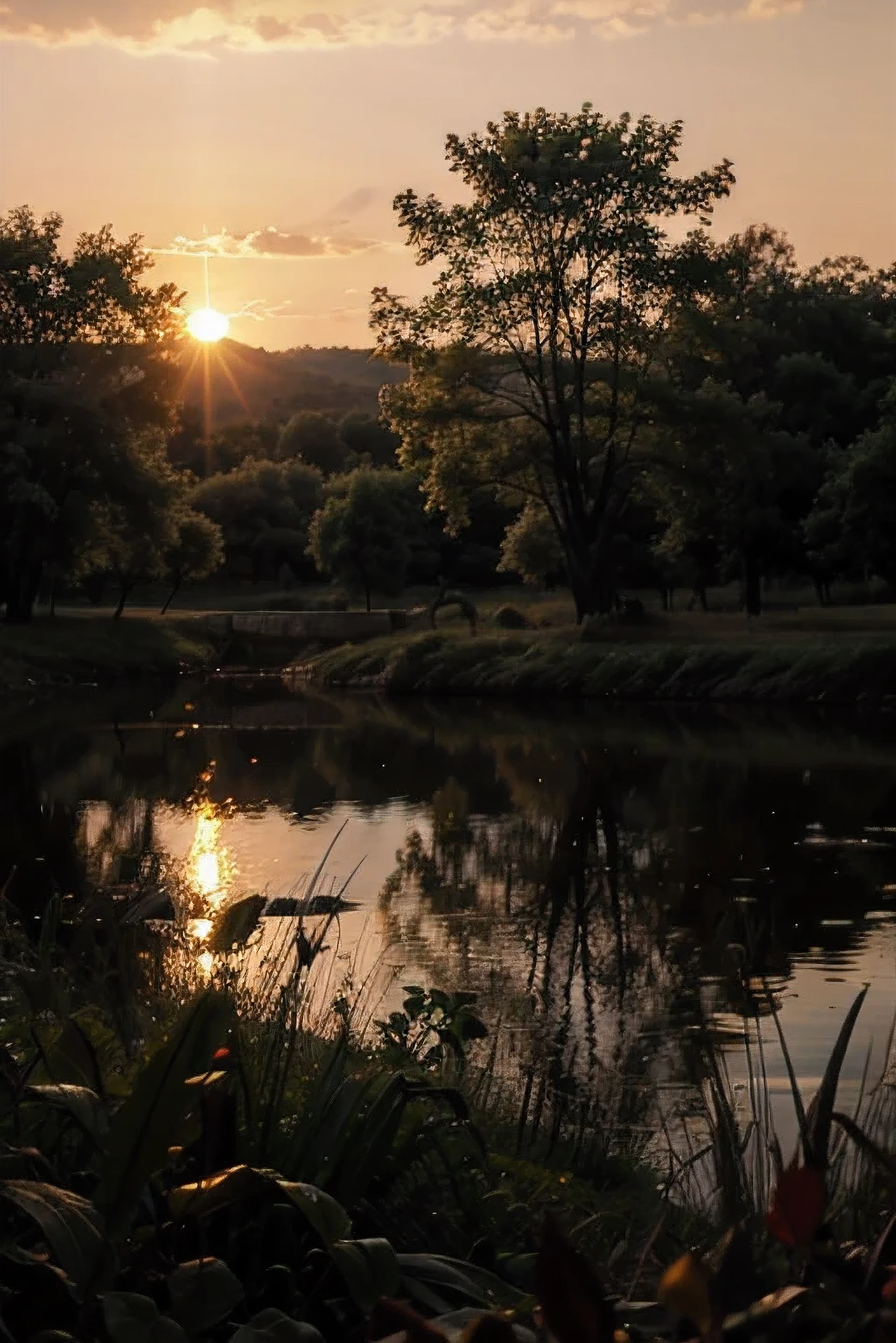  Nature sunset back ground