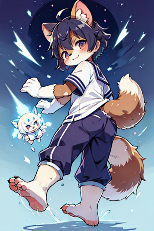 Scalpel, raccoon dog, Furry, Beastman, Animal hair, tail, Sailor suit, Short sleeve, Jersey pants, Long trousers, gloves, barefoot, sole, Pad