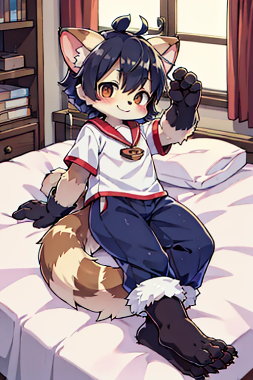 Scalpel, raccoon dog, Furry, Beastman, Animal hair, tail, Sailor suit, Short sleeve, Jersey pants, Long trousers, gloves, barefoot, sole, Pad, bed, tickle, smile