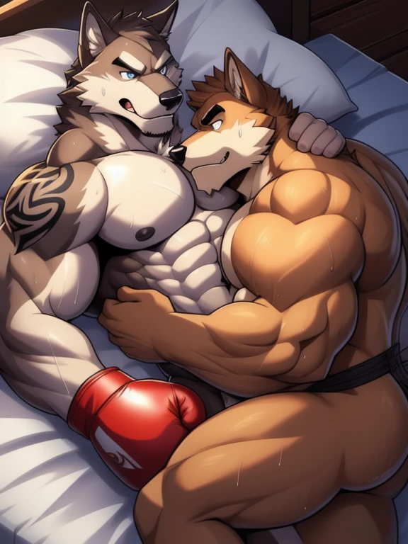 Duo male fighters(Brown Wolf vs Gray Wolf, handsomes, perfect eyes, Thick eyebrows), beso gay(cuddling lying down embraced, trying to escape, in a bed match), hot(Full body, shirtless), handsomes(They are handsomes, correct anatomy), musculosos(Big muscle bodies, Six packs, muscle abs, big pecs, muscle legs, muscle backs), sweaty(very sweaty wet bodies), tatuajes(they have tattoos), Angry(They have an angry expression), boxing gloves(They both are wearing boxing gloves), Naked(NSFW, naked, cocks, penis), Hight resolution