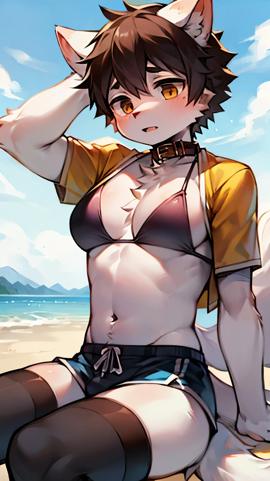 White Wolf，Big Tail，big ear，BIG_BREASTS，Round breasts，((Stockings))，(Shota)，((male))，shota，Sports students，high quality，Highest quality，Extremely detailed characters，Upper Body，(Bikini)，shorts，Collar，estrus，()，high resolution，Ultra Detailed，one person，sit down，Fitness coach，seaside，short hair，little bo