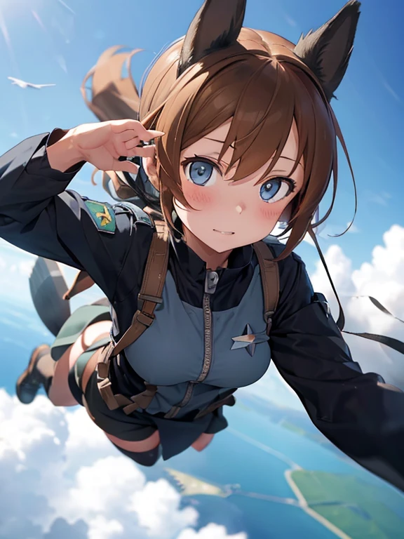 {(1girl free_fall from 10000m above the ground), (out of focus background:1.4)}, {1girl, beasts_ears}, (strike witches:1.2)}