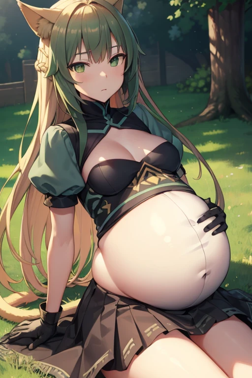 atalanta, atalanta, animal ears, blonde hair, cat ears, cat girl, cat tail, (green eyes:1.5), green hair, hair between eyes, long hair, multicolored hair, tail, (small breast:1.2),
BREAK black gloves, gloves, skirt, dress, green dress, short sleeves, puffy sleeves, juliet sleeves, short skirt, green skirt,
BREAK looking at viewer, sonrojo, avergonsada, close eyes
BREAK outdoors,
BREAK (masterpiece:1.2), best quality, high resolution, unity 8k wallpaper, (illustration:0.8), (beautiful detailed eyes:1.6), extremely detailed face, perfect lighting, extremely detailed CG, (perfect hands, perfect anatomy),  large belly, vore, (vore:1.3), (barriga perfecta), (big belly:1.9), (pregnant:1.6), (vore belly), (vore belly:1.7)