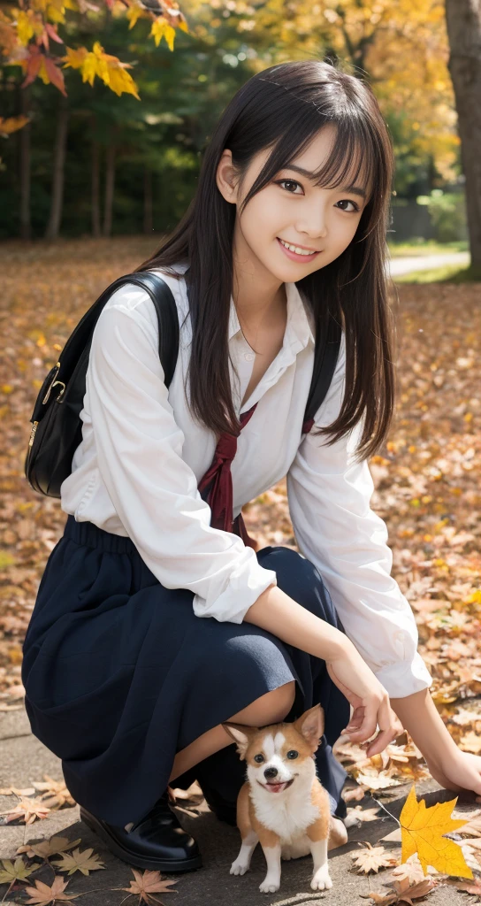 (top-quality、masterpiece:1.2)、Best Quality、realisitic、photoshot、hight resolution、1080p、8K、Textured skin、Physical Rendering、1 Japan Girls、High 、kawaii、Young Face、Rolled hair、(Autumn outfit:1.5)、a park、Holding a small dog、crouching down、full of shyness、smil、Big