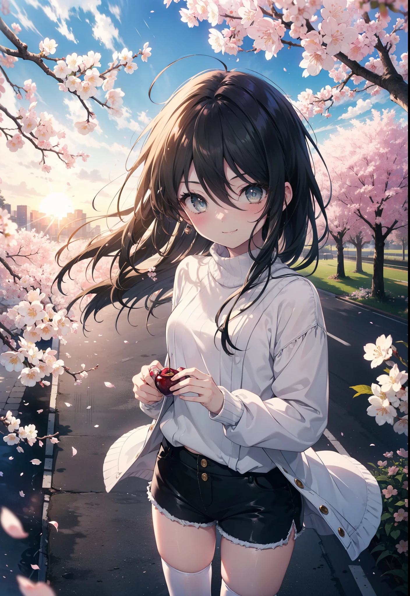 Shana,灼眼のShana,Ahoge,Long Hair,Black Hair, Black eyes Small breasts,smile,blush,White Sweater,Shorts,Black pantyhose,Mini Boots,Cherry blossom tree-lined path,Cherry blossoms are blooming,Cherry blossoms are scattered,morning,morning陽,The sun is rising,Looking down from above,
break looking at viewer, (Cowboy Shot:1. 5)
break outdoors, garden,
break (masterpiece:1.2), highest quality, High resolution, unity 8k wallpaper, (figure:0.8), (Detailed and beautiful eyes:1.6), Highly detailed face, Perfect lighting, Extremely detailed CG, (Perfect hands, Perfect Anatomy),