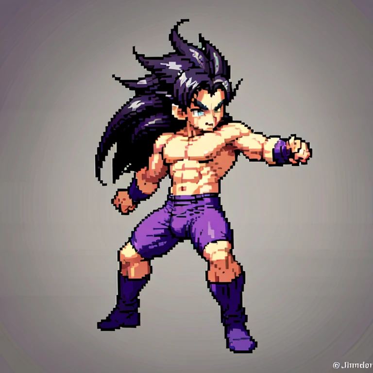 (masterpiece, top quality, best quality), pixel,pixel art,1man,purple,long hair,super saiyan,punch power,full body, 
 