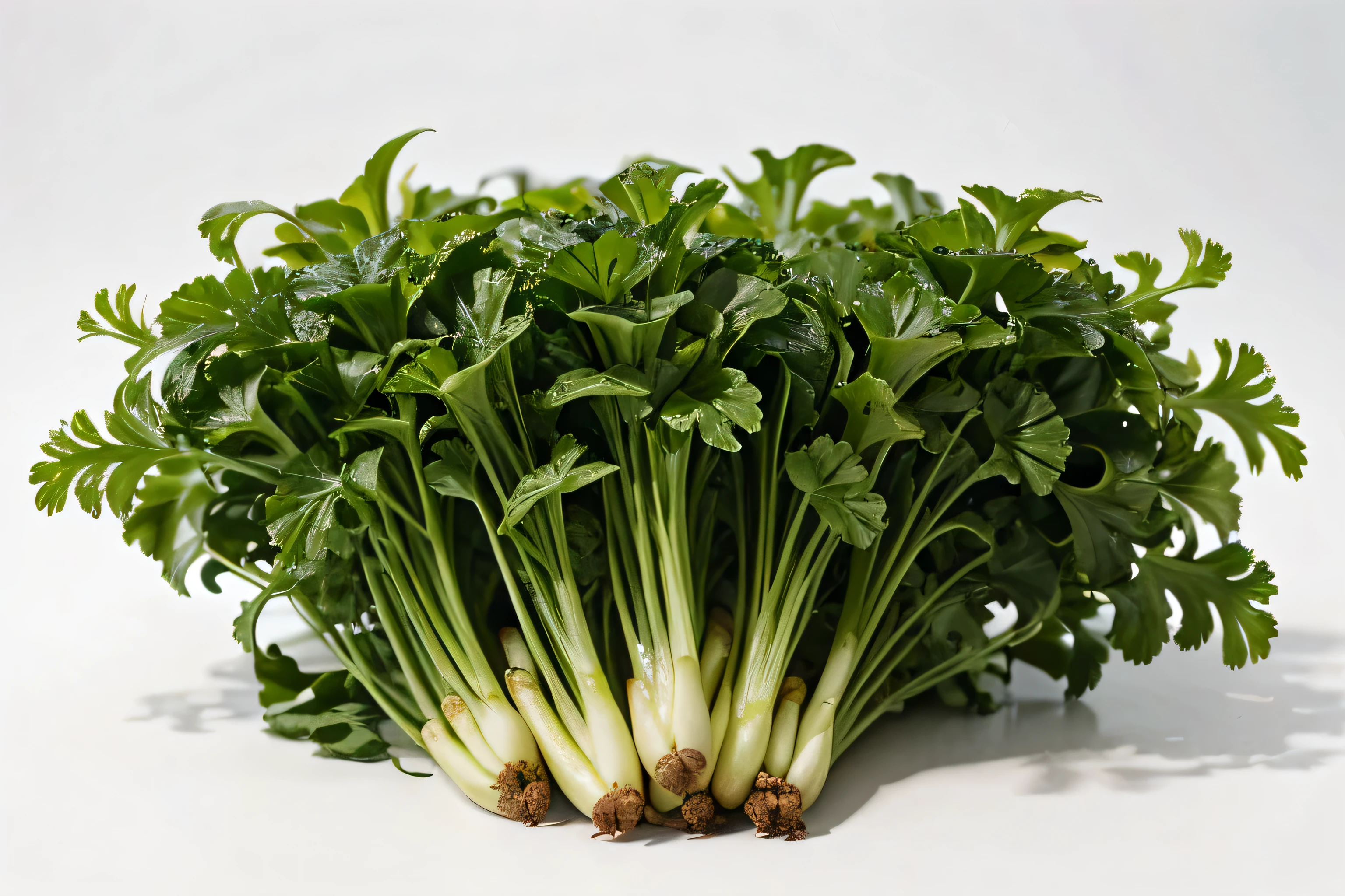 Fresh Mizuna vegetables on a white background