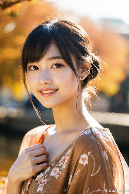 (Realistic:1.3), Rembrandt Lighting, (masterpiece:1.2), (photoRealistic:1.2), (highest quality), (Detailed skin:1.3), (Intricate details), Ray Tracing,One girl, Japanese Girls, 21 years old, Detailed skin texture, (blush:0.5), Scattered beneath the surface, smile, Updo, bangs, Hair between the eyes, hair ornaments, Floral print, seiza (Bright sunny day, Autumn scenery, Autumn Tree々and leaves, (It was transparent:1.2)Nude