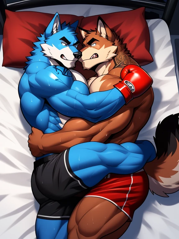 Duo big male fighters(Blue Wolf vs Red Wolf, handsomes, Thick eyebrows), beso gay((Cuddling lying down embraced from behind in a bed match)(cuddling body frottage)), hot(Full body, shirtless), handsomes(They are handsomes, correct anatomy), musculosos(Big muscle bodies, Six packs, muscle abs, big pecs, muscle legs, muscle backs), sweaty(very sweaty wet bodies), tatuajes(they have tattoos), Angry(They have an angry expression), Boxing gloves(They both are wearing boxing gloves), boxers(They are wearing black shorts boxers), Hight resolution