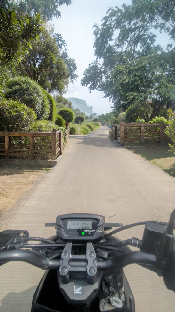 Tea gardens and hills, realistic, hd