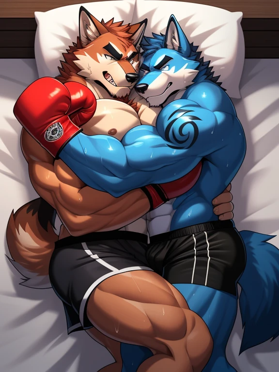 Duo big male fighters(Blue Wolf vs Red Wolf, handsomes, Thick eyebrows), beso gay((Cuddling embraced from behind in a bed match)(cuddling body frottage)), hot(Full body, shirtless), handsomes(They are handsomes, correct anatomy), musculosos(Big muscle bodies, Six packs, muscle abs, big pecs, muscle legs, muscle backs), sweaty(very sweaty wet bodies), tatuajes(they have tattoos), Angry(They have an angry expression), Boxing gloves(They both are wearing boxing gloves), boxers(They are wearing black shorts boxers), Hight resolution