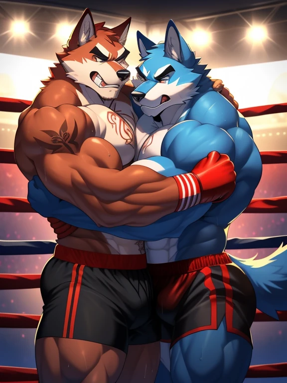 Duo big male fighters(Blue Wolf vs Red Wolf, handsomes, Thick eyebrows), beso gay((Cuddling embraced from behind in a boxing match)(cuddling body frottage)), hot(Full body, shirtless), handsomes(They are handsomes, correct anatomy), musculosos(Big muscle bodies, Six packs, muscle abs, big pecs, muscle legs, muscle backs), sweaty(very sweaty wet bodies), tatuajes(they have tattoos), Angry(They have an angry expression), Boxing gloves(They both are wearing reds boxing gloves), boxers(They are wearing black shorts boxers), Hight resolution