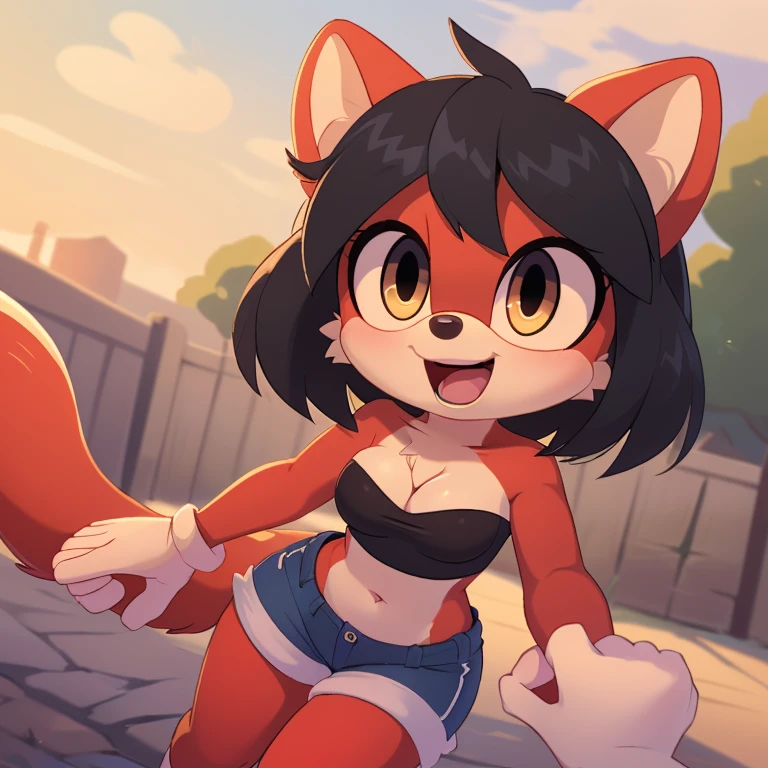 (mobian), solo, 1girl, (mobian marten, (red body fur, black hair):1.2), golden eyes, small breasts, cleavage, short girl, slim waist, chest tuft,
sticker, icon, open mouth, wide eyes, excited, playful, face focus, pov, arms out, hugging, shorts, strapless crop top,