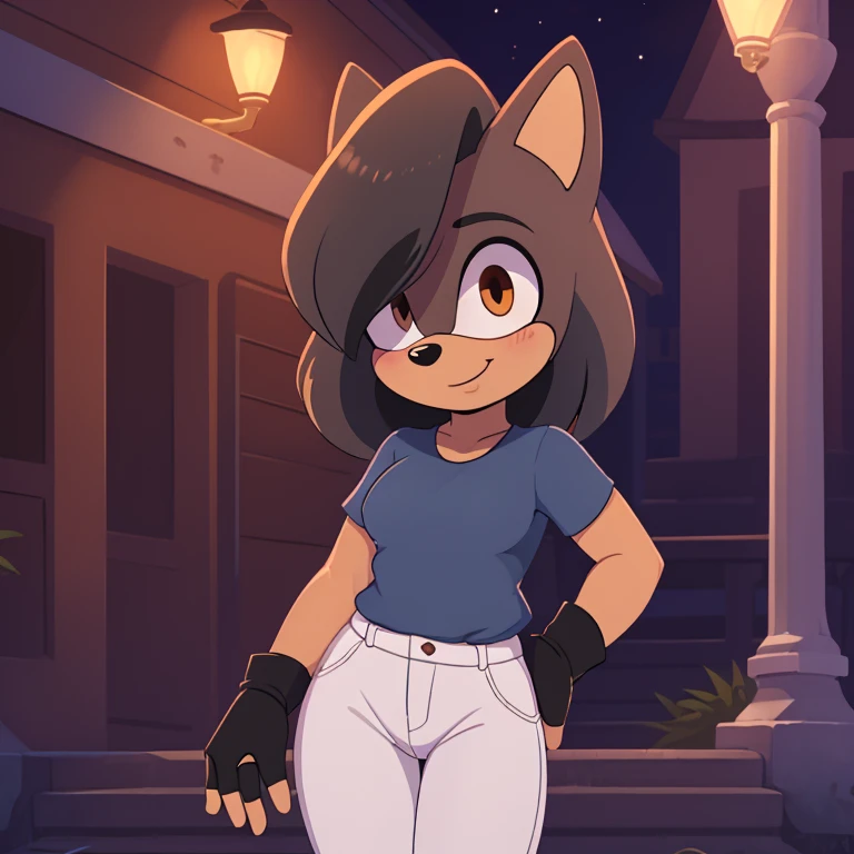 best quality, ultra-detailed, cinematic lighting, beautiful lighting, ((Masterpiece)), hi res, detailed, detailed background, vibrant lighting, high quality, cartoon style, 2d, (Mobian:1.1), solo, (((1girl))), (((female))), (((dark grey Mobian hedgehog))), dark grey body fur, ((dark grey head spikes, black highlights:1.3)), 3 tails, (((dark grey tails))), orange eyes, lean body, ((adult)), dark grey tails, (((blue short t-shirt, white pants, fingerless black gloves))), looks at viewers, bright blush, cute smile, soft, standing, night city