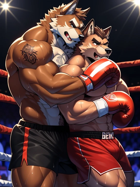 Duo big male fighters(Brown Wolf vs Red Wolf, handsomes, Thick eyebrows), beso gay((Cuddling embraced from behind in a boxing match)), hot(Full body, shirtless), handsomes(They are handsomes, correct anatomy), musculosos(Big muscle bodies, Six packs, muscle abs, big pecs, muscle legs, muscle backs), sweaty(very sweaty wet bodies), tatuajes(they have tattoos), Angry(They have an angry expression), Boxing gloves(They both are wearing reds boxing gloves), boxers(They are wearing black shorts boxers), Hight resolution
