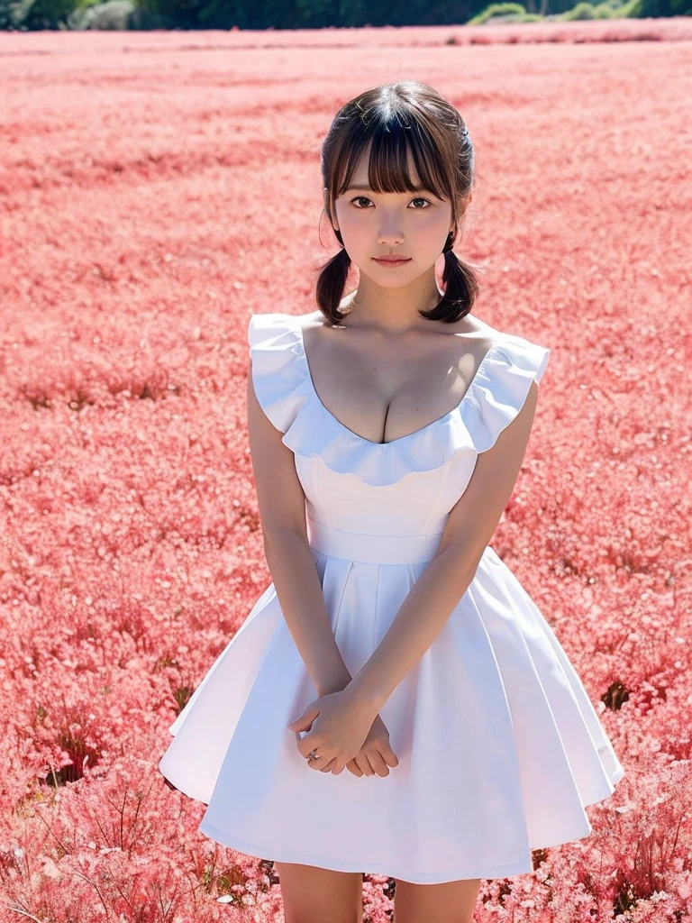 Girl standing in a pink flower field,White ruffled mini flare dress,,bangs,A small smile,Thighs,knees,Short hair and low pigtails、Barrette with white ribbon,From below,Front light,(Big Breasts),A dress that reveals the shape of your breasts