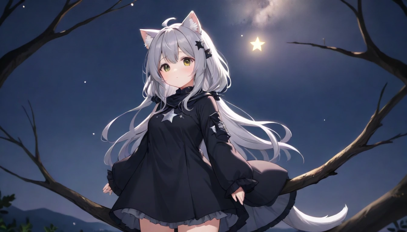 The background is the city, perfect Gray-haired girl, , Gray-haired, Gray-haired god, Cute anime waifu in beautiful clothes, Gray-haired, Small Curvy , Gray-haired girl, Nightcore, Standing on a tree, Look up at the stars, The face is very detailed、night、Cat ear