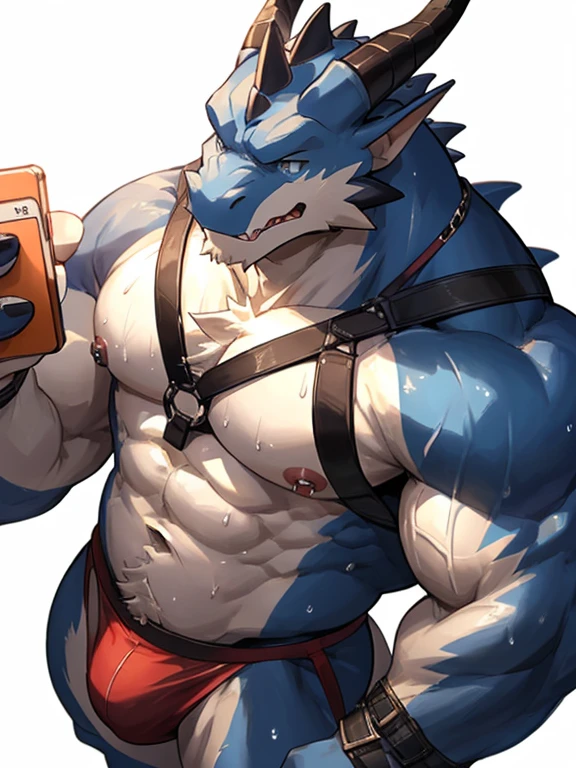 POV,top angle,sleep on stomach,lats,trapezius,butt lift,kemono, anthro (dragon), male, (dragon), muscular, back, red body, white belly ,sweat, ((correct anatomy)),stand up, sexy stand, white background, 1 boy, solo, wearing jockstrap, pain expression, canine tooth, hd, dark shadows, wide dynamic range, hdr, low light:1.2, front view, dragon, hairy, black and white fur, hairy, Sweating, Sparkling blue eyes, Big pink‚ with big‚ abs‚ handsome, shy face, collarbone, pink nipples, nipple piercing, harness, harness ring, fat, up view, high quality, super detail, short, 1080P, high quality, high quality, best quality, 8k, super detail, 16k, injury, bloods, full body, side view, full view, whistle, selfie, phone, look down at viewer, by lindong, by nullghost