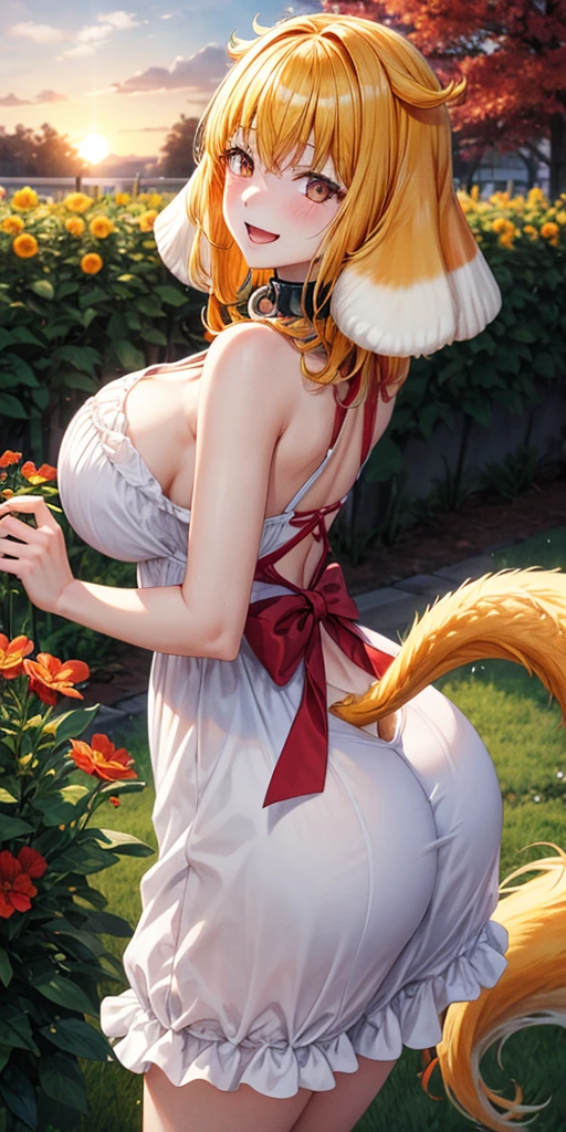 masterpiece, best quality, roxanne, dog ears, fluffy dog ears, collar, sundress, looking at viewer, garden, autumn, sunset, large breasts, ass, smile edgYSD, woman wearing a sundress, very voluminous very fluffy very long dog tail, dog tail starts immediately above butt, dog tail starts from skin, entire dog tail visible, short hair, bloomers, flushed skin, blushing face, red cheeks,  lewd smile, slightly open mouth, gravure, pinup, very long legs, no ears, open-back dress