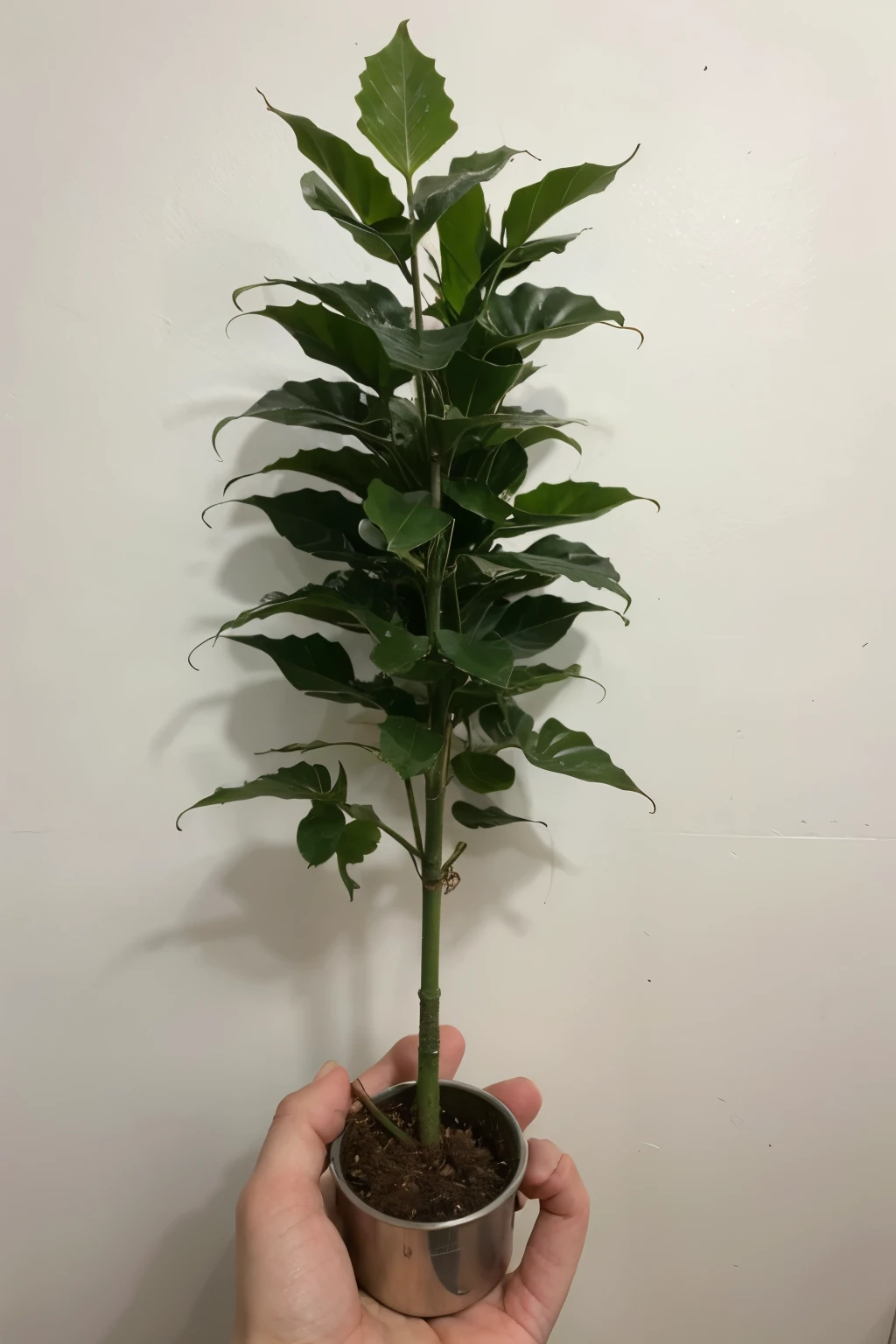 genera una hoja