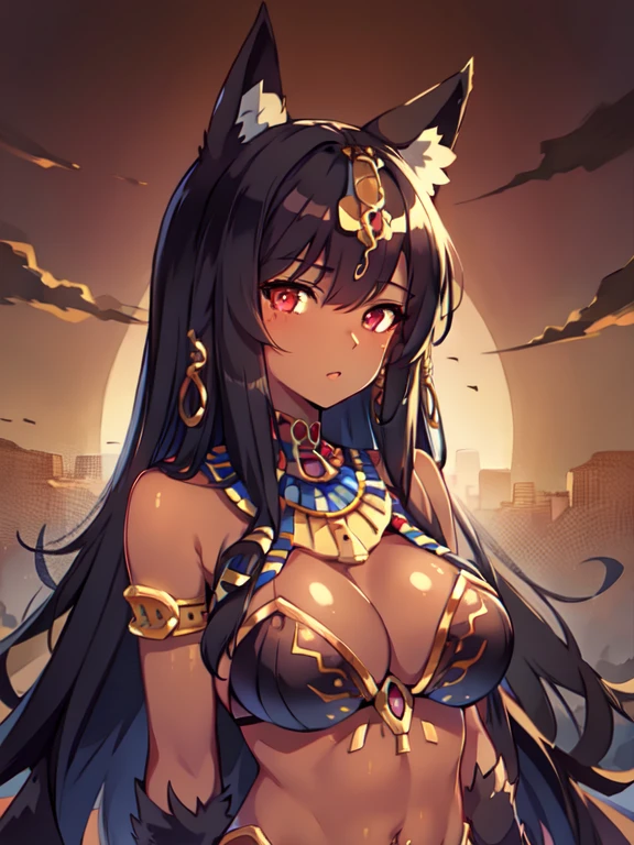 Masterpiece, best quality, expressive eyes, perfect face, 1girl, solo, animal ears, long hair, red eyes, egyptian, dark skin, egyptian, Desert Background, upper body, navel, 