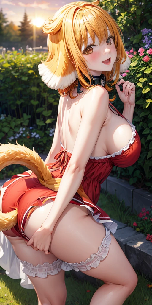 masterpiece, best quality, roxanne, dog ears, fluffy dog ears, collar, sundress, looking at viewer, garden, autumn, sunset, large breasts, ass, smile edgYSD, woman wearing a sundress, very voluminous very fluffy very long dog tail, dog tail starts immediately above butt, dog tail starts from skin, entire dog tail visible, short hair, bloomers, flushed skin, blushing face, red cheeks, lewd smile, slightly open mouth, gravure, pinup, very long legs, no ears, open-back dress