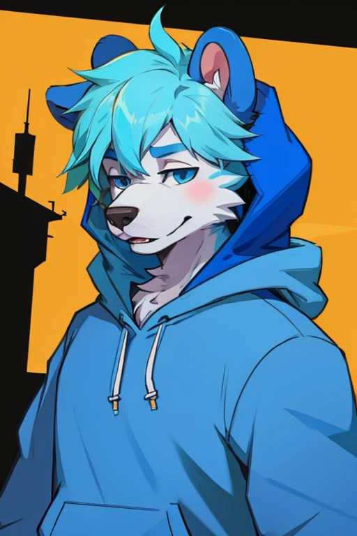 male, blue cartoon bear, blue cowlick, furry anthro, blue hoodie