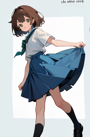 • a female student,
-description: l
>ong brown hair,
>green eyes,
>1.50 cm tall,
>15 years old,
-wearing:
>white shirt,
>blue skirt,
>black shoes and white socks.