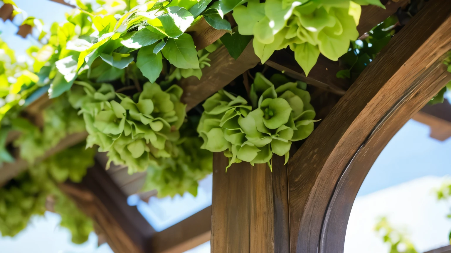 (High definition, 4k, exquisite: 1.3), One scene, Utilize a trellis, arbor or wall-mounted planters: 1.2, To maximize space and add a decorative element: 1.4, Blooming flowers cascade down, (Lush greenery: 1.2), Delicate vines entwine around supports, (Sunlight filters through: 1.3), Textured bark and intricately woven accents, (Close-up of a blooming flower: 1.5), Soft petals unfurling in rich colors, (Bright and inviting: 1.2), The perfect