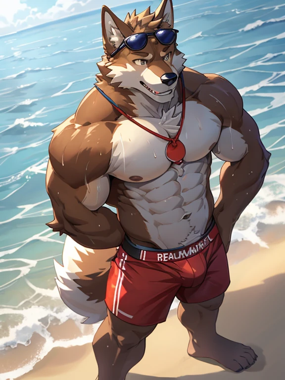 POV,top angle,sleep on stomach,lats,trapezius,butt lift,kemono, anthro (brown dog), male, (brown dog), muscular, back, red body, white belly ,sweat, ((correct anatomy)), stand on sea, beach, perfect beach background, 1 boy, solo, wearing jockstrap, pain expression, canine tooth, hd, dark shadows, wide dynamic range, hdr, low light:1.2, front view, full body, canid, canine, canis, domesticbrown dog mammal, nordic sled brown dog, fullbody, full res, smile, lifeguard, wearing sunglasses, full body