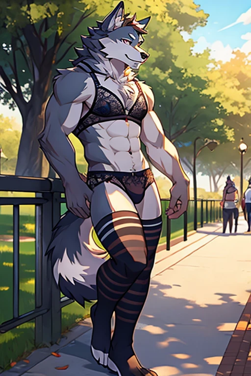 Male furry wolf character; wearing bra, panties and long striped stockings at the park