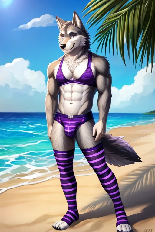 Male furry wolf character; wearing purple bra, panties and long striped stockings at the beach