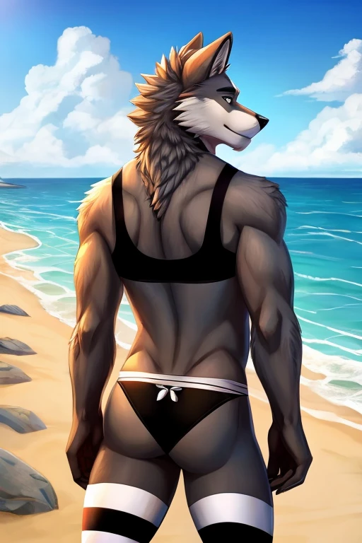 Male furry wolf character; wearing black bra, panties and long striped stockings at the beach, looking backwards