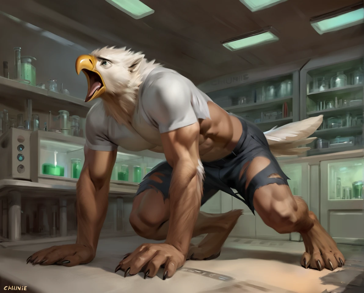 male eagle, comic book style, illustration, solo, abs, pecs, concentrated expression, masculine body, masterpiece, best art, full body, digitigrade, by chunie, by taran fiddler, torn pants, torn shirt, detailed hands, tall, detailed eyes, detailed torso, lab, pain expression, transformation, yelling, halfway human face, all fours