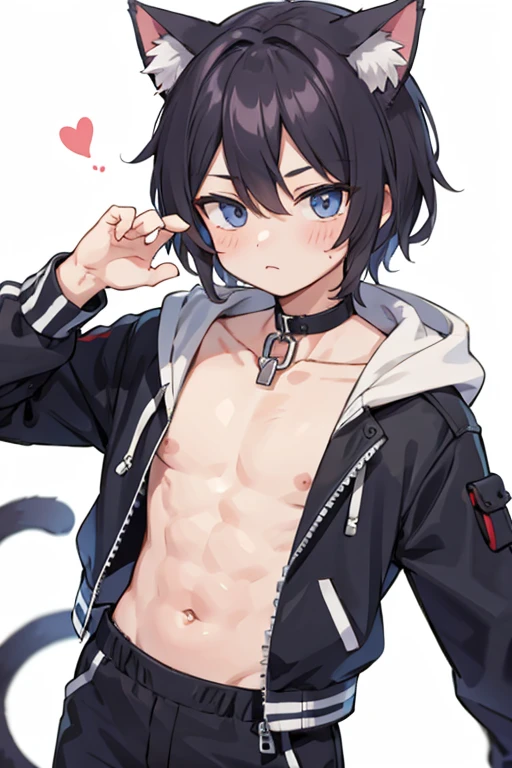 Male cat ear pattern