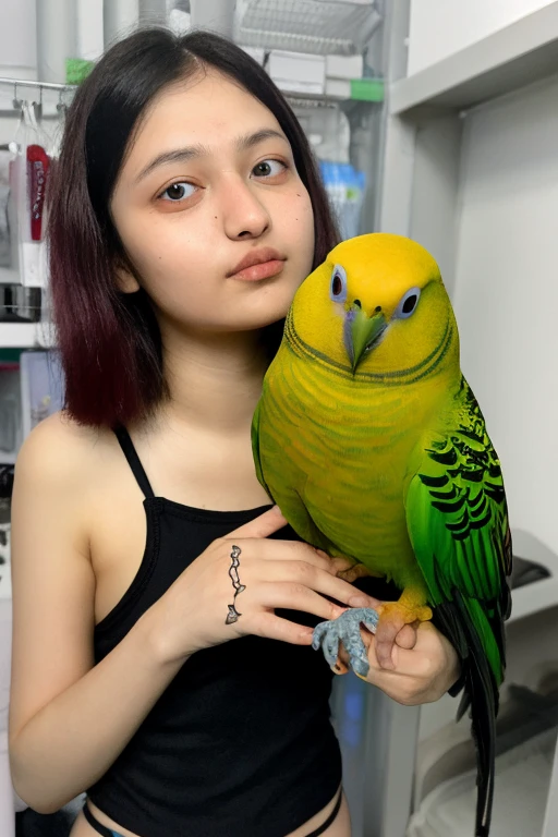 Parakeet