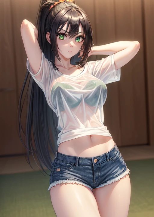 (masterpiece:1.5),(best quality:1.5),(high resolution:1.5),(8k:1,5),(perfect face:1.5)(cowboy shot:1.5),(beautiful detailed eyes:1.6), (extremely detailed face:1.5),(perfect lighting:1.5),(extremely detailed CG:1.5), (perfect hands:1.5),(perfect anatomy:1.5),,(perfect body:1.5),(perfect hands:1.5),(perfect fingers:1.5),(full body:1.3),,(1woman:1.5),(megami magazine:1.3),pale skin,(fighter:1.5),,seraphim, seraphim, long black ponytail hair, (green eyes:1.3),(large breast:1.3),,sea(large ass:1.3), (white t-shirt:1.3), (shorts denim:1.3), looking at viewer, (see through:1.3)