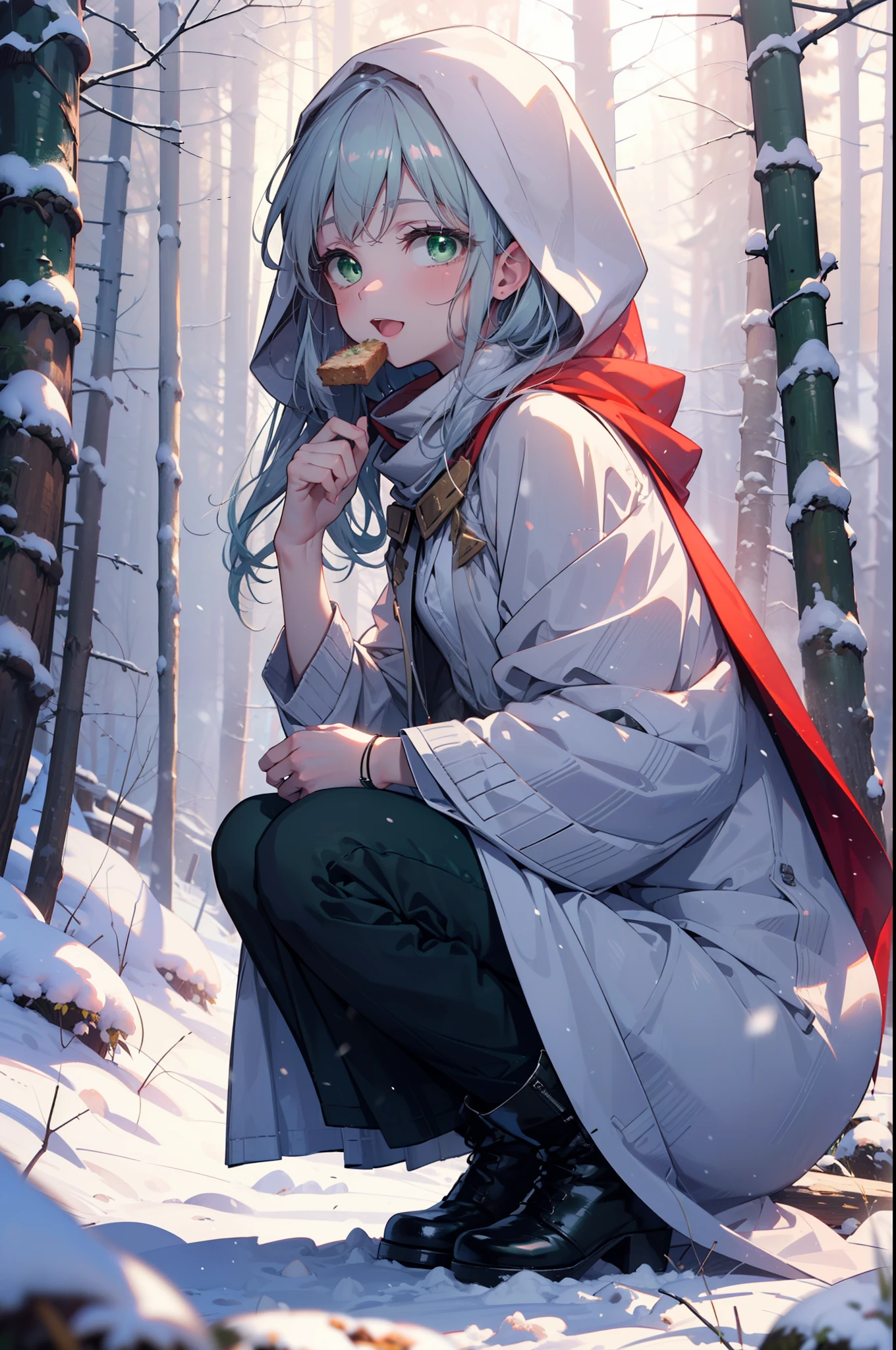 index, index, (Green Eyes:1.5), Silver Hair, Long Hair, (Flat Chest:1.2),happy smile, smile, Open your mouth,
Open your mouth,snow, fire, Outdoor, boots, snowing, From the side, wood, suitcase, Cape, Blurred, Food Up, forest, White handbag, nature, Squat, Mouth closed, フードed Cape, winter, Written boundary depth, Black shoes, red Cape break looking at viewer, Upper Body, whole body, break Outdoor, forest, nature, break (masterpiece:1.2), highest quality, High resolution, unity 8k wallpaper, (shape:0.8), (Beautiful and beautiful eyes:1.6), Highly detailed face, Perfect lighting, Extremely detailed CG, (Perfect hands, Perfect Anatomy),