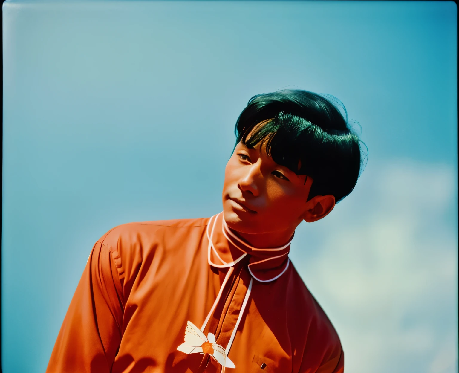 color unsharp masking quality. A human erfly hybridization man. Japanese. thick outline. blurry photo. color slide film. 1958.