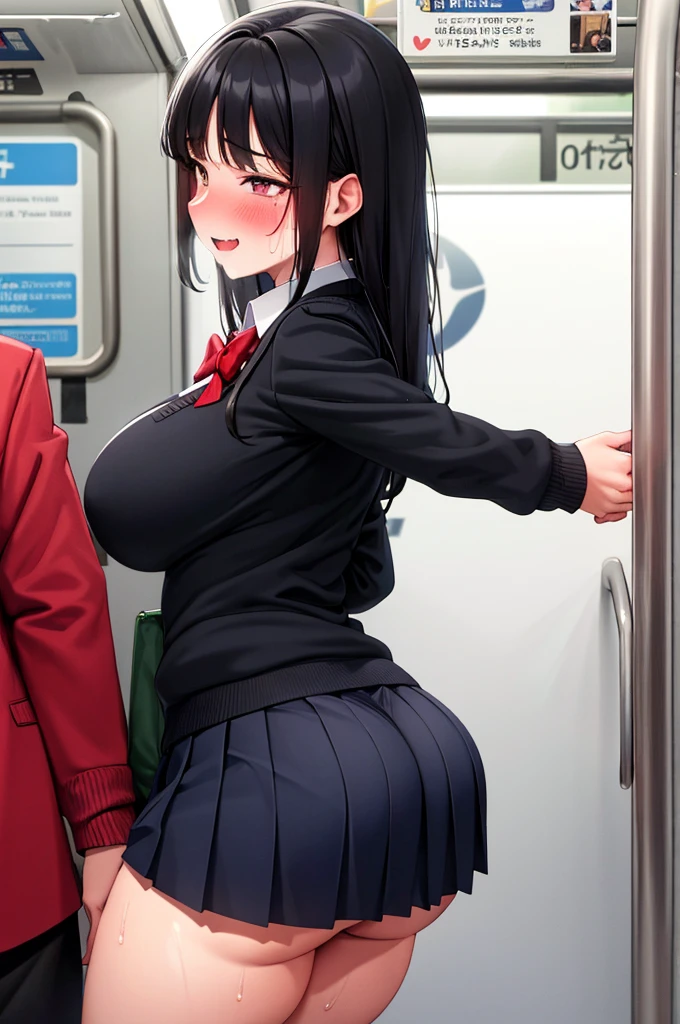 (nsfw),masterpiece,ultra detailed,sharp focus,4k digital art,high resolution,from side,buttocks focus,,( blushed and aroused:1.3),(1man,1female,man groping female buttocks,man grabbing buttocks:1.3),(school cardigan:1.3),dress shirt,black socks,(navy and pleated skirt:1.2),( black hair,medium straight hair),(sweaty:1.2),grinning,(trembling,flying heart-shapes),(female standing in train:1.1),sexy undies,curvy ass,drooling,heart pupils,puffy nipples,leaning on door