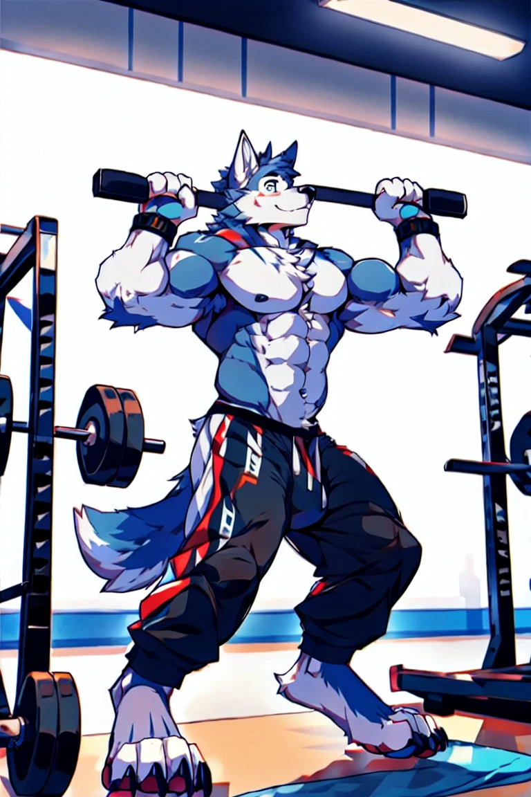 Human-wolf,Muscular,Full Body Furry,paws with claws,pass upright,Working out in a gym,The upper body is naked,Short sweatpants,bulge