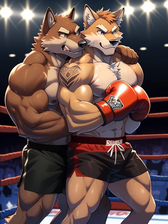 Duo male(Brown Wolf vs Brown Wolf, handsomes, Thick eyebrows), gay(embraced from behind, hot frottage, on a UFC match), hot(Shirtless), handsomes(They are handsomes, correct anatomy), musculosos(Big muscle bodies, Six packs, muscle abs, big pecs, muscle backs, muscle legs), sweaty(very sweaty wet bodies, shiny sweat), tatuajes(they have tattoos), Grumpy(Both have an grumpy expression, growling, showing teeths, steaming breath), UFC gloves(They both are wearing red UFC gloves), UFC boxers(They both are wearing boxers), Hight resolution, by(Zourik:1.1) 